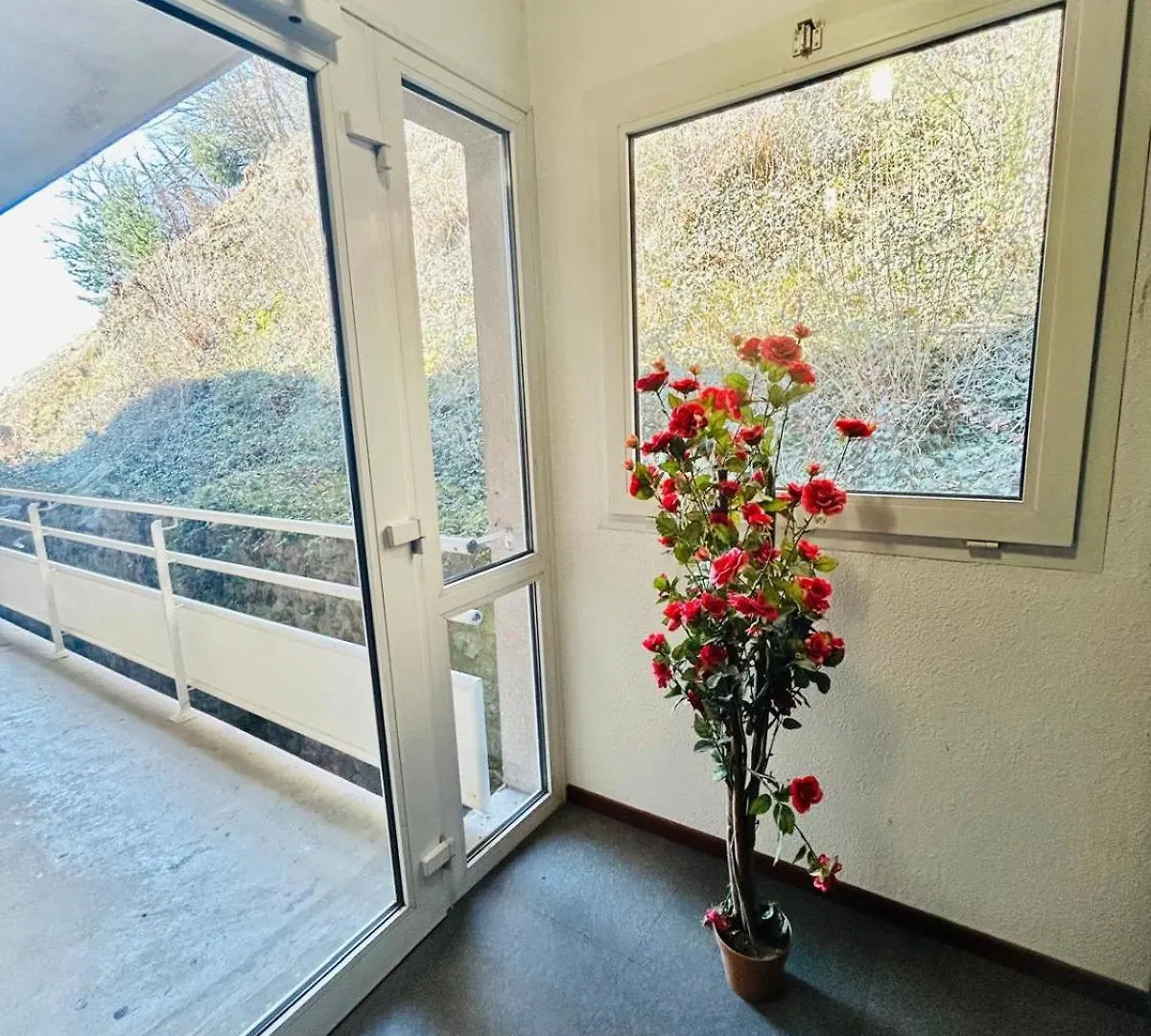 Studio Thermotel 208 Saint-Martin-dʼUriage Διαμέρισμα
